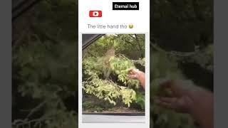 The little hand tho| ETERNAL HUB | #shorts #eternalhub #science