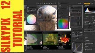  Silkypix Developer Studio Pro 12 Tutorial Photo Editing Local AdjustMents Export.