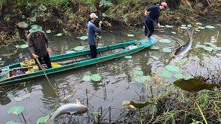 Kích Bẩy Rô Phi Cái Ao Bỏ Quên Nhiều Năm | Fishing In Vietnam