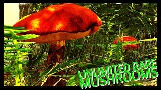 Unlimited Rare Mushrooms! LOST ISLAND!