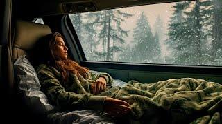Fall asleep to the sounds of rain in the window with thunder in a foggy forest