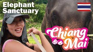 A Must Do?: Our Elephant Sanctuary Experience in Chiang Mai, Thailand 