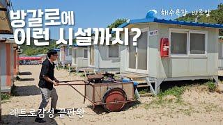 Camping alone at a beach with a bungalow right in front of the white sand beach