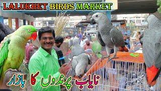 Lalukhet Exotic Parrots and Rare Birds Market Karachi 15-9-2024 Latest Update in Urdu | سوق الطيور