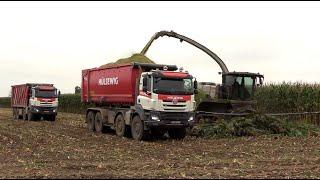 Maïs 2024 | Claas Jaguar 990 Terra Trac | 2x Tatra | 5x Fendt | JCB Fastrac | Deutz | JD | Maisernte