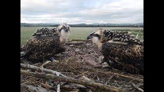 EOCA funded project 2021: Bogs - The Best Weapons Against Climate Change - Cumbria Wildlife Trust