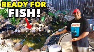 DIY BACKYARD POND IS DONE! *TIKI FALLS 3.0*