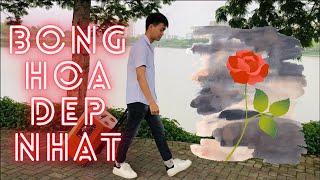 Bông hoa đẹp nhất - Quân A.P | Cover by Mạc Đình Quang - Loa Kéo Hay | Hát với loa kéo 3