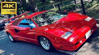 80’s LAMBORGHINI COUNTACH | 25th Anniversary | Exhaust (V12 SOUND)