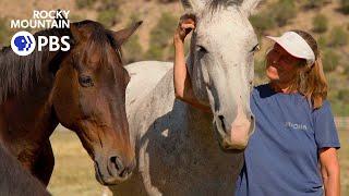 In southwest Colorado, horses teach teenage girls to say 'no'