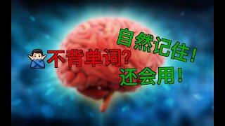 怎么不背单词，还能自然记住、而且会用？用大脑喜欢的方式学英文！