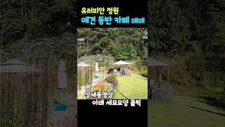 유러피안 정원 애견 동반 경남 진주시 지수면 카페  매매  #유러피안정원 #애견동반 #애견카페 #진주카페매매 #승산마을