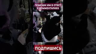 Фурри Прогулка по Городу #фурри #квадробика #furry