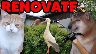 I'm Going to Renovate My House!