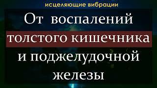 Исцеляющая музыка для здоровья толстого кишечника и поджелудочной железы