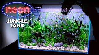 Aquascape Tutorial: NEON TETRA Jungle Aquarium (How To: Non co2 Planted Tank Step by Step Guide)