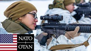 US Marine Corps, NATO. Joint winter military exercise in Norway.