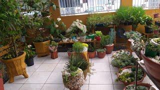 Desafio! Visão que tenho da minha janela!