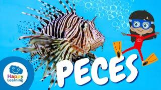 COSAS QUE NO SABÍAS SOBRE LOS PECES  | Happy Learning 