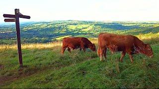 Walking the Entire Cotswold Way - Dowdeswell to Leckhampton Hill