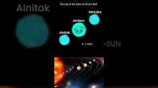 Real Size of Alnitak, Alnilam, Mintaka  #planet #astrophysics  #space #universe #blackhole #nasa