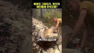 버려진 그루터기의 변신?