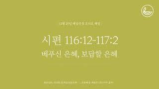 「매일성경」 베푸신 은혜, 보답할 은혜 [시편 116:12-117:2]