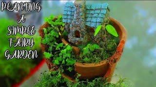 Planting A Simple Fairy Garden Planter/Pot