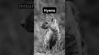 FACTS to KNOW about HYENA: Nature Unleashed!!! #shorts #facts