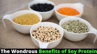 The Wondrous Benefits of Soy Protein