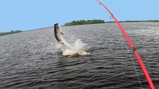 Zero To Mayhem + Scary Manatees! Florida Fishing from Kayak and Shore!