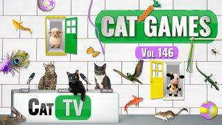 CAT Games | Ultimate Cat TV Compilation Vol 146 | 8 HOURS  
