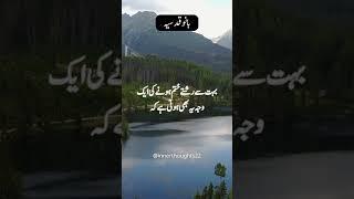 Bano Qudsia Life Quotes | Urdu Quotes | Bano Qudsia Quotes #shorts #urduquotes #banoqudsiaquotes