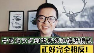 中西方文化的世界观和情感模式，正好完全相反！