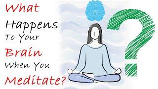 What Happens To Your Brain When You Meditate? | MendMind