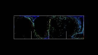 particle velocity HW.mpeg