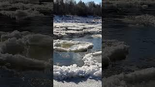 ice floats down the river