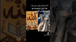 من عجائب وغرائب المخلوقات شاهد الفيديو للنهاية واخبط لايك واشتراك عشان نعرف عدد المهتمين 2025