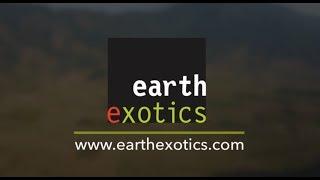 Earth Exotics drive to Sustainable Farming