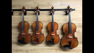 Introduction to Beginning String Orchestra Instruments