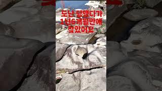 전북 순창 용궐산 요강바위 #여행 #백대명산 #이슈 #백대명산