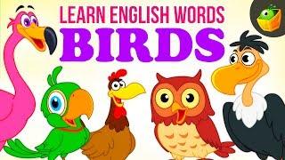 Birds | Pre School | Learn English Words (Spelling) Video For Kids and Toddlers