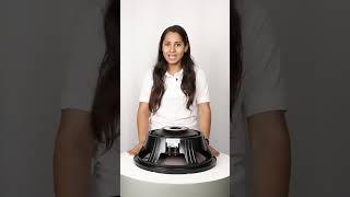 P2226 Speaker with 1000RMS Power, 4 inch Voice Coil & Voice Engine Sound Magnet by Ati Pro 
