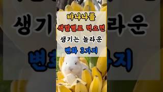 바나나를 색깔별로 먹으면 생기는 놀라운 변화 3가지 #건강정보 #건강관리 #건강