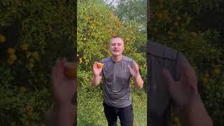 Мощная техника от негатива