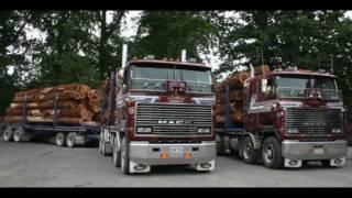 'Midnite Hustler' and some others from Bulldog Haulage Ltd (NZ)