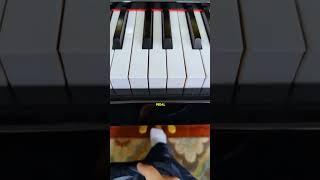 The coolest pedal (imo) you probably don't have #piano #pianolessons