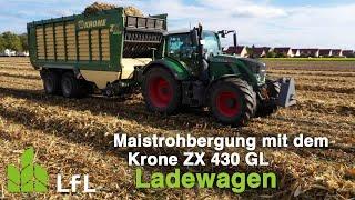 Krone Ladewagen ZX 430 GL zur Körnermaisstrohernte