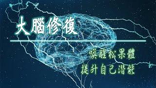 100%純阿爾法腦波音樂 激活大腦 提高學習能力 專注力 冥想音樂 需要耳機