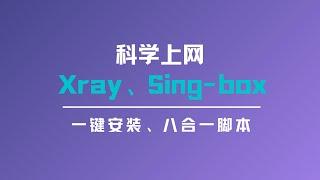 xray和sing box一键安装脚本，一键搭建，支持vless、vmess、hysteria2、tuic协议，搭建简单，对刚接触的小伙伴也非常友好，脚本稳定性也特别高，值得了解#一瓶奶油